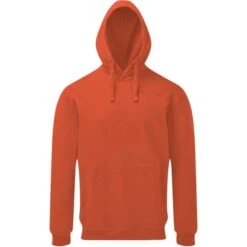 AQ045 - Sweat à Capuche Homme Délavé Vintage « Coastal » En Mailles Bouclettes -Style au Travail aHR0cDovL21lZGlhMi5kZXNpZ25wYXJ0bmVyLmZyL2MvcC8xNjg1OS8xNjg1OS0xODk4MS0xLmpwZw