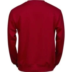 5100 - Power Sweatshirt -Style au Travail aHR0cDovL21lZGlhMi5kZXNpZ25wYXJ0bmVyLmZyL2MvcC8xNjk2My8xNjk2My05NjYxLTIuanBn
