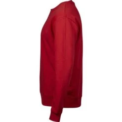 5100 - Power Sweatshirt -Style au Travail aHR0cDovL21lZGlhMi5kZXNpZ25wYXJ0bmVyLmZyL2MvcC8xNjk2My8xNjk2My05NjYxLTMuanBn