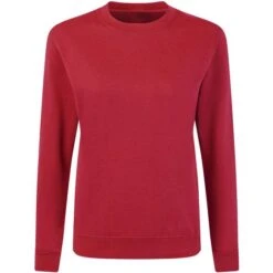 SG20F - Crew Neck Sweatshirt Women -Style au Travail aHR0cDovL21lZGlhMi5kZXNpZ25wYXJ0bmVyLmZyL2MvcC8xNzA3NC8xNzA3NC0xOTI1MS0xLmpwZw