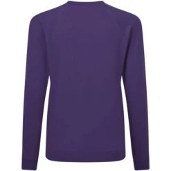 SG23F - Raglan Sweatshirt Women -Style au Travail aHR0cDovL21lZGlhMi5kZXNpZ25wYXJ0bmVyLmZyL2MvcC8xNzA4MS8xNzA4MS0xOTI1Ny0yLmpwZw