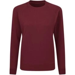 SG23F - Raglan Sweatshirt Women -Style au Travail aHR0cDovL21lZGlhMi5kZXNpZ25wYXJ0bmVyLmZyL2MvcC8xNzA4MS8xNzA4MS0xOTI2MC0xLmpwZw