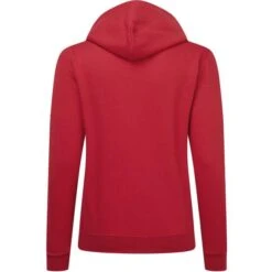 SG29F - Hooded Full Zip Women -Style au Travail aHR0cDovL21lZGlhMi5kZXNpZ25wYXJ0bmVyLmZyL2MvcC8xNzA4Mi8xNzA4Mi0xOTI1MS0yLmpwZw