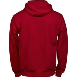 5102B - Junior Power Hoodie -Style au Travail aHR0cDovL21lZGlhMi5kZXNpZ25wYXJ0bmVyLmZyL2MvcC8xNzAxMi8xNzAxMi05NjYxLTIuanBn