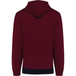 KARIBAN K4016 - Sweat-shirt Tricolore à Capuche Unisexe -Style au Travail aHR0cDovL21lZGlhMi5kZXNpZ25wYXJ0bmVyLmZyL2MvcC8xNzQyNS8xNzQyNS0xOTcyNS0yLmpwZw