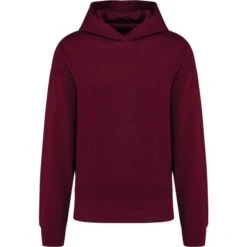 KARIBAN K4018 - Sweatshirt à Capuche Molleton Oversize Unisexe -Style au Travail aHR0cDovL21lZGlhMi5kZXNpZ25wYXJ0bmVyLmZyL2MvcC8xNzQyNi8xNzQyNi0xMzQyLTEuanBn