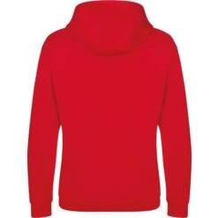 JH101 - Graduate Heavyweight Hoodie -Style au Travail aHR0cDovL21lZGlhMi5kZXNpZ25wYXJ0bmVyLmZyL2MvcC8xNzg0NS8xNzg0NS0zMzY3LTIuanBn