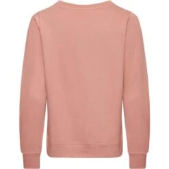 JH030F - Sweat Femme AWDis 17 JH030F - Sweat Femme AWDis -Style au Travail aHR0cDovL21lZGlhMi5kZXNpZ25wYXJ0bmVyLmZyL2MvcC8xNzg1Ni8xNzg1Ni0yMDMyNC0yLmpwZw