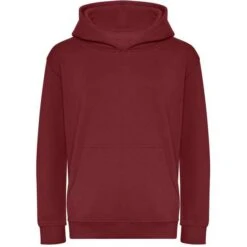 JH201J - Kids Organic Hoodie -Style au Travail aHR0cDovL21lZGlhMi5kZXNpZ25wYXJ0bmVyLmZyL2MvcC8xNzgzMS8xNzgzMS0zMzQ3LTEuanBn