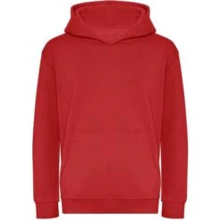 JH201J - Kids Organic Hoodie -Style au Travail aHR0cDovL21lZGlhMi5kZXNpZ25wYXJ0bmVyLmZyL2MvcC8xNzgzMS8xNzgzMS0zMzY3LTEuanBn