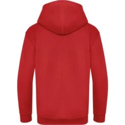 JH201J - Kids Organic Hoodie -Style au Travail aHR0cDovL21lZGlhMi5kZXNpZ25wYXJ0bmVyLmZyL2MvcC8xNzgzMS8xNzgzMS0zMzY3LTIuanBn