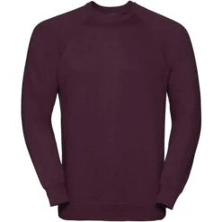 RUSSELL R-762M-0 - Sweatshirt Raglan -Style au Travail aHR0cDovL21lZGlhMi5kZXNpZ25wYXJ0bmVyLmZyL2MvcC8yNjAvMjYwLTgzNS0xLmpwZw