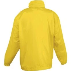 32300 - Surf Kids -Style au Travail aHR0cDovL21lZGlhMi5kZXNpZ25wYXJ0bmVyLmZyL2MvcC8yODc2LzI4NzYtMzExNS0yLmpwZw